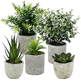 ZHYLUO 5 Stück Kunstpflanze, Mini Künstliche Pflanzen Schlangenzunge, Agave Sukkulente, Eagle Claw Aloe, Künstliche Pflanzen für Schlafzimmer Büro Dekoration