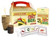 Magic of Nature Scharfer Pedro - Chili Samen Anzuchtset - 5 beliebte Chili Sorten zum Selberzüchten oder zum Verschenken