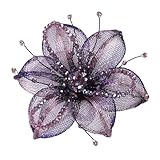 Qaonsciug Nähen Haarspange Brosche Für Brautkleider Künstlerisch Für Kleid Hochzeit Brautkleid Dekorative Applikation Elegantes Kleidungszubehör