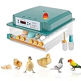 Inkubatoren Brutkasten Vollautomatischer Hühnereier Automatischer Hühnerbrutkasten Heimbrutkasten Bauernhof Eierbrutkasten 16 Eier
