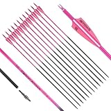 S F 76,2 cm Carbon-Pfeile für Bogenschießen, Ziel-Übungspfeile mit abnehmbaren Spitzen für Recurvebogen und Verbundbogen (12 Stück), Mehrfarbig (Rosa)