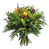 Blumenstrauß Frühlingsbote – Frische Tulpen & bunte Blumen inkl. kostenloser Glückwunschkarte | Perfekt für Frühling & Geschenk