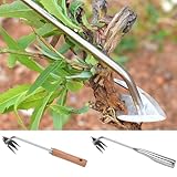 Gartenarbeit Hand Unkrautstecher, Gartenwerkzeug Unkraut Entferner Gerät, Entwurzelungswerkzeug Unkrautjäter mit Holzgriff Unkrautjäter Fugenkratzer mit Stiel Gummigriff 3 Zähne (A)