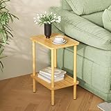APICIZON Beistelltisch Holz, 2 Tier Nachttisch Schmal, 40x30x52cm, Beistelltisch Klein mit Stauraum, Beistelltisch Schmal für Wohnzimmer, Schlafzimmer, Balkon, Einfache Aufbau, Natur