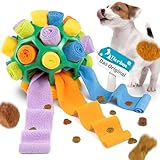 Tierbox Schnüffelball für Hunde Intelligenzspielzeug [für alle Hunde] Schnüffelspielzeug | Kaktus Grün