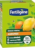 FERTILIGENE FEGAGR12 – Pflanzendünger Zitrusfrüchte, mediterrane Pflanzen 1,2 kg – reichlich Früchte – nur 1 Anwendung in 3 Monaten – bis zu 48 Bäume – 100% natürliches Produkt mit Zeolith