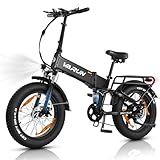 VARUN E Bike 20 * 4,0 Zoll Mountainbike, Elektrofahrrad Klapprad mit 250W Motor, 48V13Ah Lithium-Batterie, LCD-Meter, geeignet für Berg Schnee, Straße Fahren