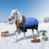 Meulbaty 125 cm Pferdedecke, 1200D wasserdichte Poly-Pferdedecke, strapazierfähige, reißfeste, Dicke Regendecke mit Snuggit 220 g Füllung, atmungsaktive, warme Weidedecken für Pferde