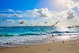 Muralo Fototapete Strand 240 x 360 cm Vlies Tapete Wandtapete Meer Wellen Himmel Wohnzimmer Schlafzimmer moderne Wandbilder XXL Natur Panorama Wasser Wand Dekoration