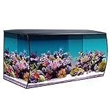 Fluval Flex Marine Aquarium 123L, Meerwasser Aquarium, schwarz, 1 Stück