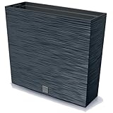 Prosperplast Blumenkasten mit Einsatz | aus robustem Kunststoff | Anthrazit | wetterfest und UV-beständig | 58 x 18 x 49,8 cm | ideal für Garten, Terrasse und Balkon