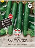 Sperli Salatgurkensamen Gergana 80828 für 35 Pflanzen – Ertragreiche Gurkensamen für Gewächshaus & Freiland, Kübelgeeignet, Bitterfrei, Aromatisch, Bis 35 cm lang, Gemüsesamen