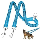 MingXpet 2 Hundeleine, Hundeleine für 2 Hunde, 360° drehbar, kein Verheddern, Doppelwander-Trainingsleine für große Hunde, die ziehen, bequem, stoßdämpfend, reflektierend, Blau