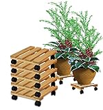 BigDean 5x Pflanzenroller eckig Buchenholz massives Holz 30 x 30 cm bis 120 Kg Rolluntersetzer