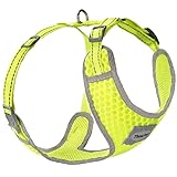 ThinkPet No-Pull Hundegeschirr Leine Set, Atmungsaktiv Brustgeschirr für Kleine Mittlere Große Hunde, Einstellbar Weich Laufgeschirre Sicher Kontrolle Gepolstert Reflektierendes Sicherheitsgeschirr