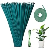 mizikuu 50 Stück Pflanzenstütze, 38CM Pflanzstab Bambus Pflanzenstab Rankhilfe mit Bindebändern Orchideenstab Plant Sticks Stütze Blumenstab Tomatenstäbe für Kletterpflanze Erweiterung