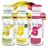 Sodafixx - 3er Set Fruttifixx Getränke Sirup - Bar-Bundle: Holunder Limette Minze, Zitrone Light, Himbeere für Mixgetränke - Fruchtsirup 12L Fertiggetränk zuckerreduziert - Wasser mit Geschmack