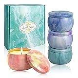 Duftkerzen Geschenkse 4 Pack: 4.4 Oz Sojawachs Aromatherapiekerze stark duftenden ätherischen Ölen zum Stressabbau,Weihnachtsgeburtstag Muttertag Geschenk，Kerzen Deko&Bad