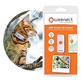 GPS-Tracker für Katzen – Weenect | GPS-Live-Tracking | Keine Entfernungsbegrenzung