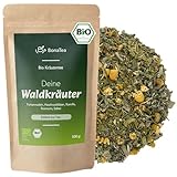 BIO Waldkräuter Tee mit Fichtennadeln, Haselnussblättern, Kamille und weiteren duftenden Waldkräutern - Loser Kräutertee 100g