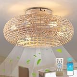 MiiR Deckenventilator Mit Beleuchtung Rattan E27 Lampe Mit Ventilator Mit Fernbedienung Und APP Leise 6 Wind Speeds Timer Deckenlampe Mit Ventilator Für Wohnzimmer Schlafzimmer Esszimmer Licht,50cm