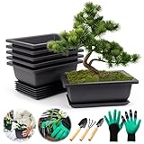 FSWWSF 6 Stück Bonsai Schale mit Untersetzer, Bonsai Topf, Kunststoff Tief Blumentopf, für Garten Pflanzen Hof Wohnen Zimmer Balkon Büro