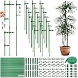 Pflanzenstäbe, Rankhilfe, 36 Pflanzstab mit 18 Verbinder und 36 Karabinern, Gartenstäbe, Pflanzenhalter, Ranghilfe, Rankstäbe für Pflanzen, Gurken, Tomaten, Orchideen, Bohnen, Erbsen