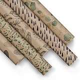 PAW - Geschenkpapier 200x70cm - 5 Rollen | Mix aus 5 Motiven | Elegante Papierrolle für Geburtstage, Hochzeiten, Babypartys, Partys und Geschenke - Wir pflegen die Natur