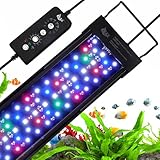 AQQA Aquarium LED Beleuchtung, 24W Vollspektrum 24/7 Modus, Einstellbare Timer Helligkeit, Aquarium Pflanzenlicht mit ausziehbarer Halterung, für 60-80cm Fischtank