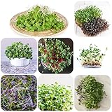 radischensamensprossen sprossensamen gartenpflanzen kräuter samen sprossen samen balkon pflanze, winterharte pflanzen für garten, wintergemüse samen kräuterpflanzen gemüse samen bonsai 800pcs