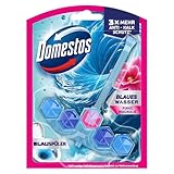 Domestos Power 5+ Aktiv Blauspüler Pinke Magnolie WC Reiniger mit Anti-Kalk Schutz für effektive WC Reinigung 48 g