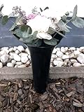 meytrade Blumenvase für Friedhof Grabvase modern grau 33cm lang & 12 cm Durchmesser Steckvase mit Erdspieß Grabschmuck wetterfest für Rosen und Tulpen, VaseSteck01