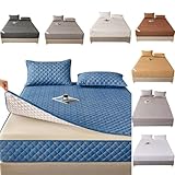 Matratzenüberzug 70/80/90/100x200 mit Reißverschluss,Anpassbare,Matratzenhülle Stickerei Gesteppt Grau/Beige Matratzenschoner Encasing Matratze Schonbezug Waschbarer Spannbettlaken (170X200+12cm,Blue)