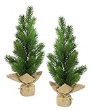 Künstlicher Mini-Tannenbaum in Jute 2er Set, 38cm Deko Kleiner Christbaum Weihnachtsbaum Kunst Kunsttanne Kunstbaum Dekobaum Koniferen X'Mas Weihnachtsdeko Adventsdeko Kunstpflanze Tanne