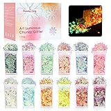 Fluoreszierendes Glitzer 12 Farben, Fasching Makeup Glitzer, Eleanore's Diary Karneval Schimke Gesicht Glitzer, Körperglitzer Farbwechsel Irisierende Pailletten für Nägel Augen Haare DIY Harz