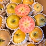 apfelbaum kaufen - exotische winterhart mehrjährig für balkon bio garten deko draußen 25samen