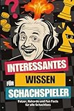 Interessantes Wissen für Schachspieler: Patzer, Rekorde und Fun Facts für alle Schachfans