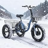 flatpincololee Elektro Dreirad Fahrrad 20'x4.0' Geländetauglich – 48V 13Ah Abnehmbarer Akku, 500W Motor, Tiefer Einstieg, LED-Licht, Großer Korb, Nicht Klappbar, Montage Erforderlich Blue