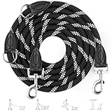 Aystkniet 2M Verstellbar Hundeleine für Große und Mittlere Hunde, Robuste Nylon Reflektierende Freihandleine mit 2 Karabiner, Vielseitig Führleine und Umhängeleine mit 250kg Zugkraft, Schwarz, 12mm