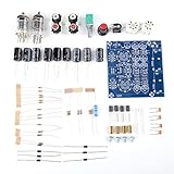 Zenithaur 6J1 Röhrchenvorverstärker für Audiosignalfiltering, EIN baubares elektronisches Vorverstärker -DIY -Kit mit AC 12V -Eingang zum Erstellen Einer eigenen