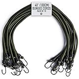 Pluvios - 40' (100CM) Robuste Spanngummis mit Haken - 10er-Pack - Größenwahl - Elastische Vielzweck Gummi Spanngurte für Gepäck, Dachträger, Camping - Wetterfester, UV-beständiger Expander
