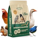 Hatortempt Premium Mehlwürmer getrocknet - Non-GMO, Natürliches Vogelfutter Wildvögel ganzjährige Ernährung, trockene Würmer für Vögel, Hamster 1.6 kg