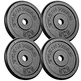 Train Hard® Hantelscheiben Set, 5/10/15/20/30/40/50/60kg,30/31mm Bohrung, Gusseisen, Gewichtsscheiben, Hantelgewichte, Fitness Scheiben (20kg, A:5x4)