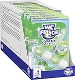 WC FRISCH Kraft Aktiv Pro Nature Minze und Eukalyptus, WC-Reiniger und Duftspüler (10er Pack)