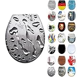 LARS360 Toilettendeckel WC Sitz mit Absenkautomatik aus Duroplast und Edelstahl, Antistatisch Antibakteriell Leicht zu Reinigen Abnehmbar Für Meisten Klodeckel Hänge WC, 45 x 38cm (Wasser)