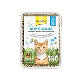 GimCat Soft-Gras - Zartes und vitaminreiches Katzengras mit schneller Aufzucht in nur 5 bis 8 Tagen - 1 Schale (1 x 100 g)