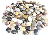 Kiesel Natur Deko Polierte Deko Steine ​​Naturkiesel Kies für Garten Steine ​​2-4 cm 900g Kiesel Garten/Aquarien/Pflanzendeko