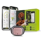 KIPPY - EVO - Das Neue GPS und Activity Monitor für Hunde und Katzen, 38 gr, Waterproof, Batterie 10 Tage, Pink Petal