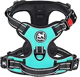 PoyPet Keine Pull Hundegeschirr Front Reflektierende Pet Weste für Hunde mit Einfache Kontrolle Griff und Rückseite perfekt für den täglichen Training, Walken, Running(Mint Blau,M)