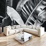 WandtapetePflanzenblätter Fototapete, Schwarze Bananenblätter Tapeten Wandtapete, 150 x 105 cm (B x H) Wanddeko Tapete Design Wand Dekoration Tapete Wohnzimmer Schlafzimmer Büro